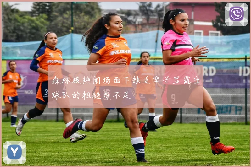 森林狼热闹场面下缺乏华子显露出球队的粗糙与不足