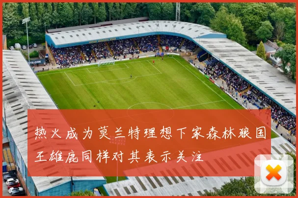 热火成为莫兰特理想下家森林狼国王雄鹿同样对其表示关注