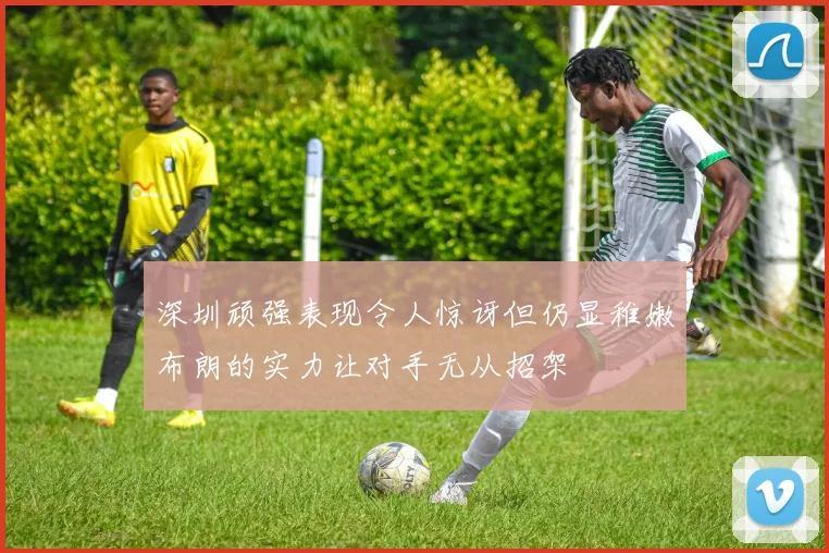 深圳顽强表现令人惊讶但仍显稚嫩布朗的实力让对手无从招架